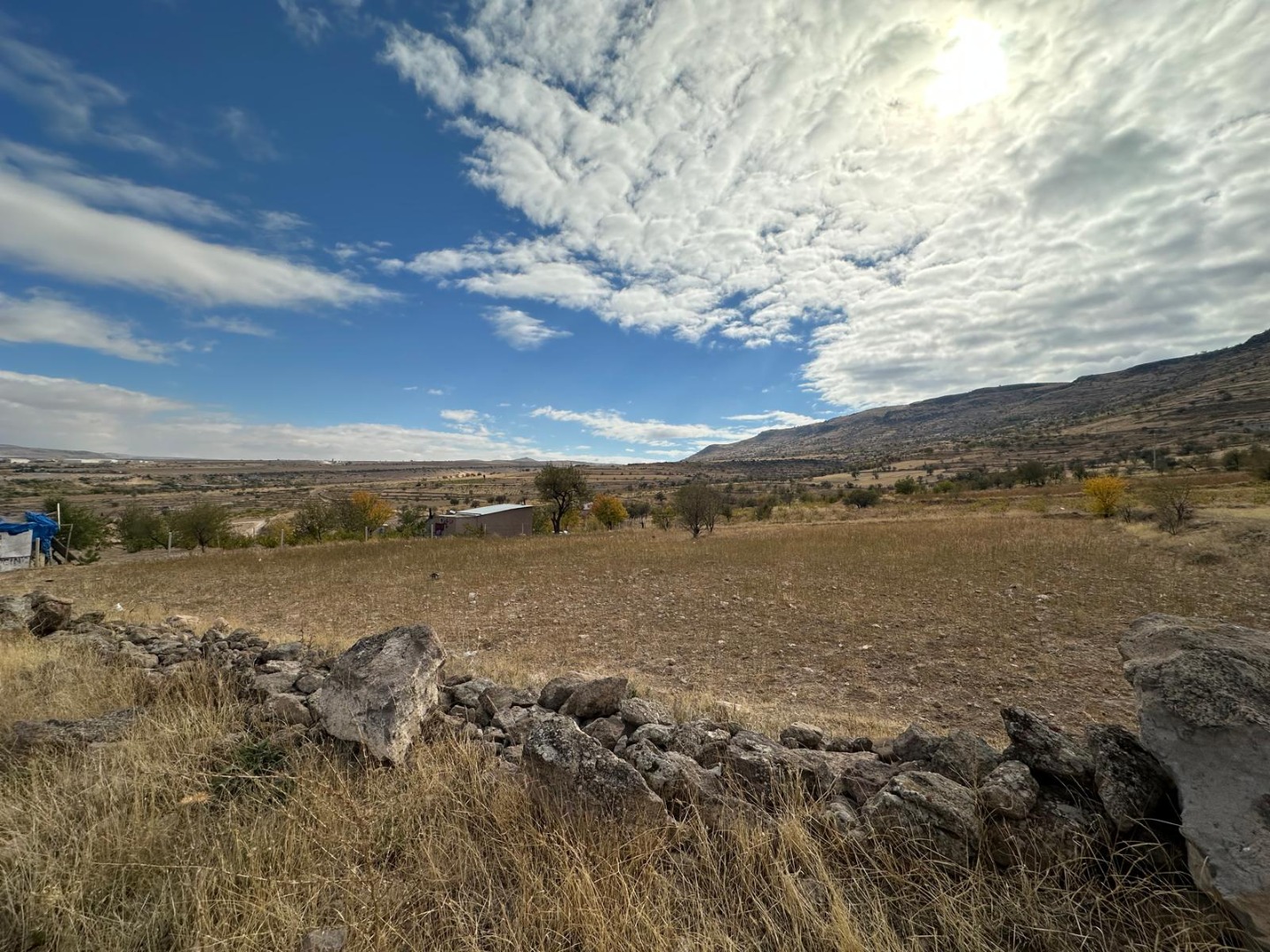 KAYSERİ DEVELİ FATİH MAHALLESİ YAMAÇ MEVKİİNDE SATILIK BAĞ YERİ